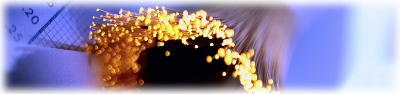 4_Fiber_j0403732_788x185.jpg